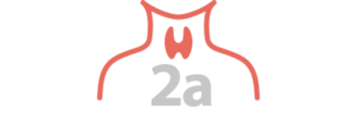 Enfermedad endocrina más frecuente sólo después de la diabetes mellitus, el hipotiroidismo primario