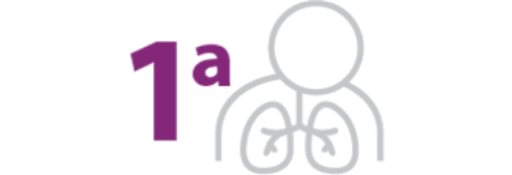 Causa de morbilidad en México son las infecciones respiratorias agudas